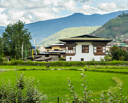 Paro